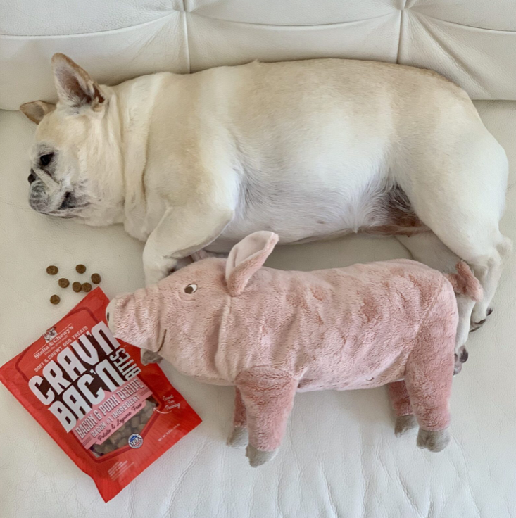 Crav'n Bac'n Bites™ | Bacon & Porc