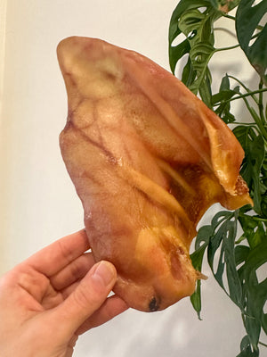 
                  
                    PIG EAR
                  
                