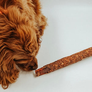 
                  
                    BULLY STICK | COLLAGÈNE DE BOEUF AVEC PARRURE
                  
                