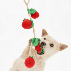 
                  
                    The CHERRY TOMATO stalk | the furryfolks “Nose Work”
                  
                