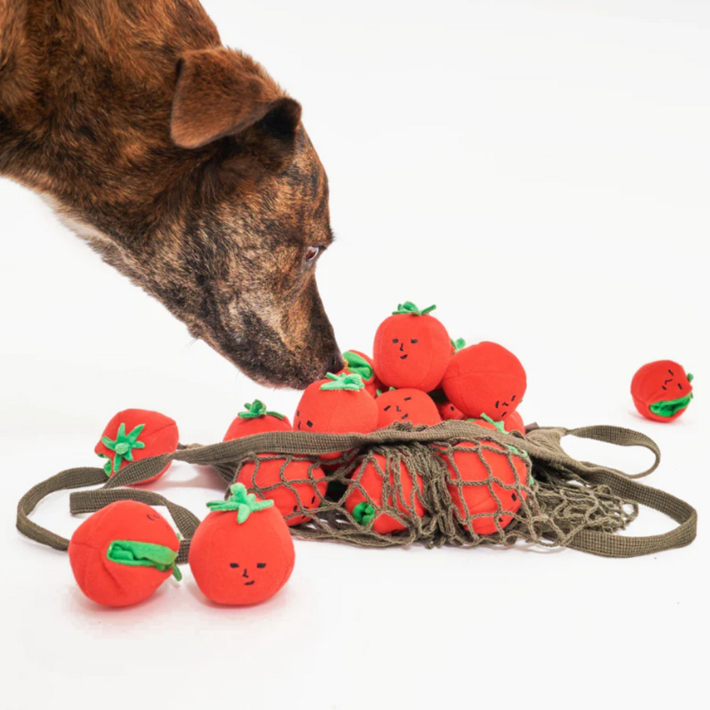 
                  
                    The CHERRY TOMATO stalk | the furryfolks “Nose Work”
                  
                