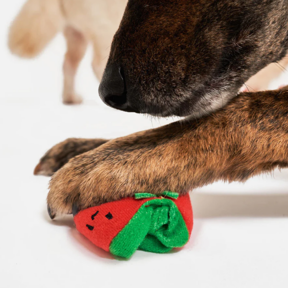 
                  
                    The CHERRY TOMATO stalk | the furryfolks “Nose Work”
                  
                