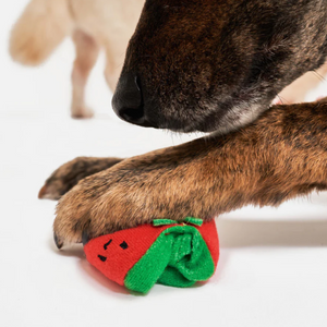 
                  
                    The CHERRY TOMATO stalk | the furryfolks “Nose Work”
                  
                